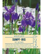 Sortenschild, Iris laevigata