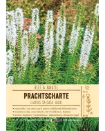 Sortenschild, Liatris spicata 'Alba'