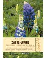 Sortenschild, Lupinus Nanus Russel-Hybride 'Gallery Blau'