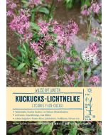 Sortenschild, Lychnis flos-cuculi