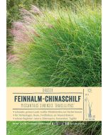 Sortenschild, Miscanthus sinensis 'Gracillimus'