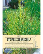 Sortenschild, Miscanthus sinensis 'Strictus'