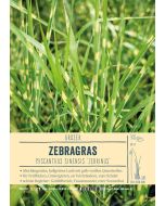 Sortenschild, Miscanthus sinensis 'Zebrinus'