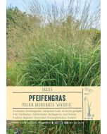 Sortenschild, Molinia arundinacea 'Windspiel'