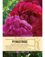 Sortenschild, Paeonia Lactiflora