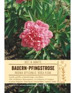 Sortenschild, Paeonia offic. 'Rosea Plena'