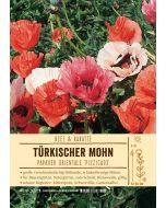 Sortenschild, Papaver orient. 'Pizzicato'