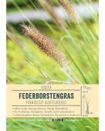 Sortenschild, Pennisetum alopecuroides