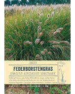 Sortenschild, Pennisetum alopecuroides 'Herbstzauber'