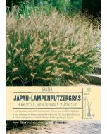 Sortenschild, Pennisetum alopecuroides 'Japonicum'