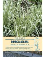 Sortenschild, Phalaris arundinacea 'Picta'