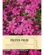 Sortenschild, Phlox Douglasii