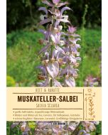 Sortenschild, Salvia sclarea