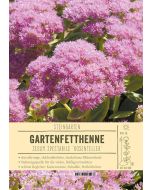 Sortenschild, Sedum spectabile 'Rosenteller'