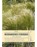 Sortenschild, Stipa tenuissima 'Pony Tails'