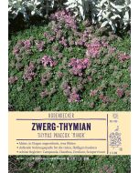 Sortenschild, Thymus praecox 'Minor'