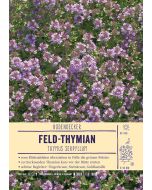 Sortenschild, Thymus serpyllum