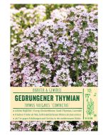 Sortenschild, Thymus vulgaris 'Compactus'