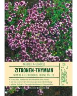 Sortenschild, Thymus x citriodorus 'Doone Valley'