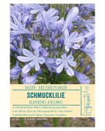 Sortenschild, Agapanthus africanus
