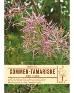 Sortenschild, Tamarix pentandra