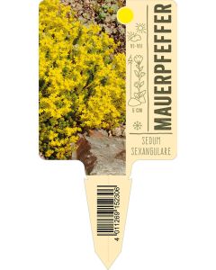 Sedumsexangulare, Bildstecketikett VS: