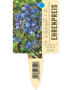 Veronicaarmena, Bildstecketikett VS: