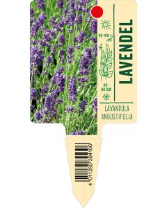 Lavandulaangustifolia, Bildstecketikett VS: