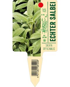 Salviaofficinalis, Bildstecketikett VS: