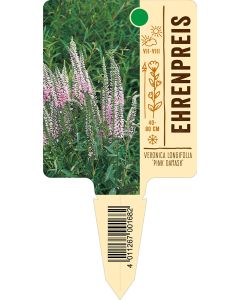 Veronica longifolia 'Pink Damask', Bildstecketikett VS: