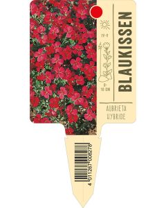 AubrietaHybride, Bildstecketikett VS: