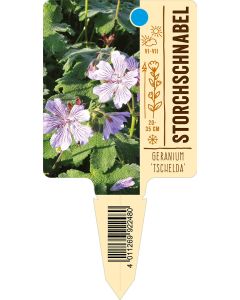 Geranium'Tschelda', Bildstecketikett VS: