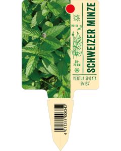 Mentha spicata 'Swiss', Bildstecketikett VS: