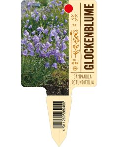 Campanularotundifolia, Bildstecketikett VS: