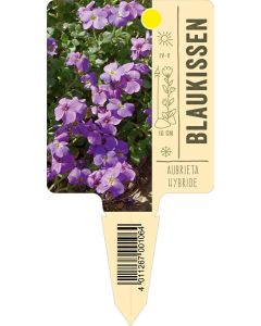AubrietaHybride, Bildstecketikett VS: