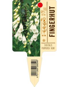 Digitalis purpurea 'Alba', Bildstecketikett VS: