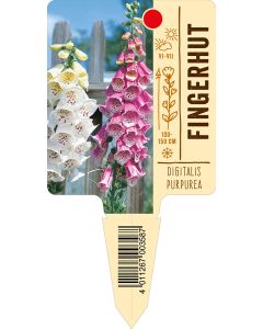 Digitalispurpurea, Bildstecketikett VS:
