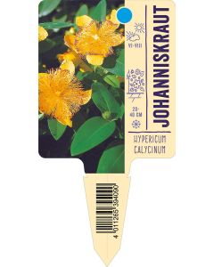 Hypericumcalycinum, Bildstecketikett VS: