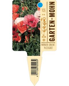 Papaver orientale 'Pizzicato', Bildstecketikett VS: