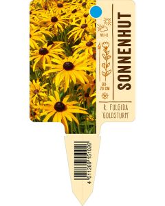 R. fulgida 'Goldsturm', Bildstecketikett VS: