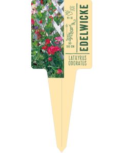 Lathyrus odoratus, Bildstecketikett VS: