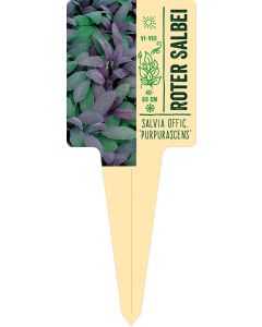 Salvia offic. 'Purpurascens', Bildstecketikett VS:
