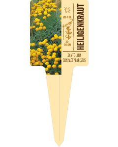 Santolina chamaecyparissus, Bildstecketikett VS: