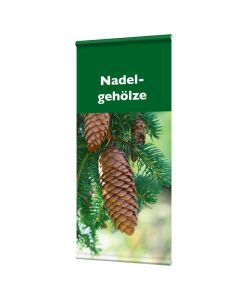 Banner "Nadelgehölze" mit Hohlsaum
