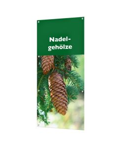 Banner "Nadelgehölze" mit Ösen