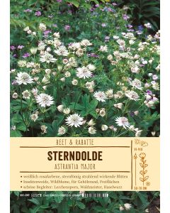 Sortenschild, Astrantia major