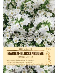 Sortenschild, Campanula medium