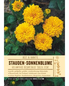 Sortenschild, Helianthus dec. 'Soleil d'Or'