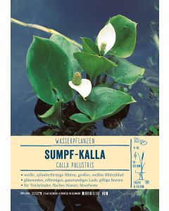 Sortenschild, Calla palustris