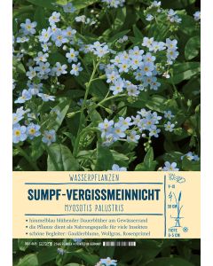 Sortenschild, Myosotis palustris